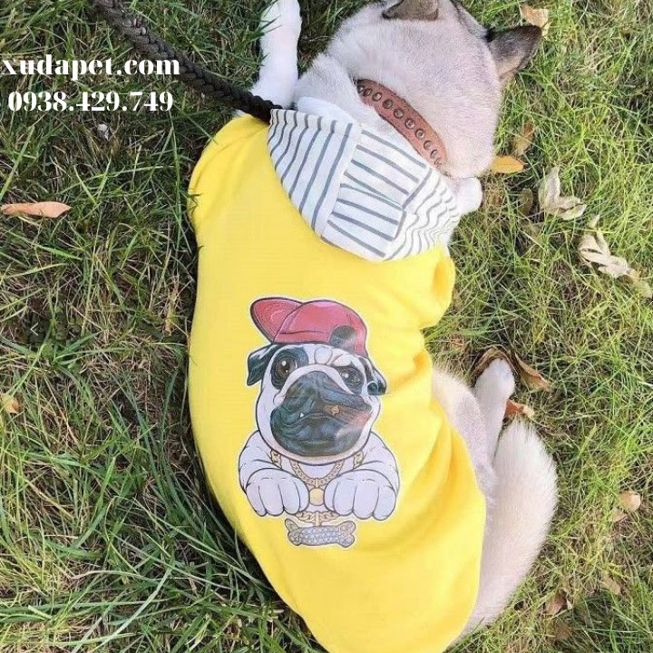 Áo Hoodie Vàng Hình Chó Pug Nón Sọc