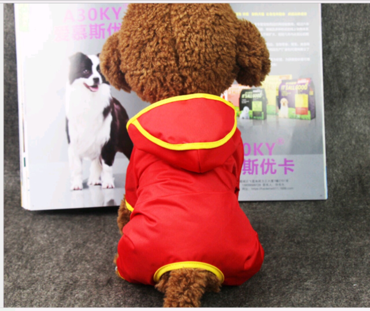 áo mưa cho chó