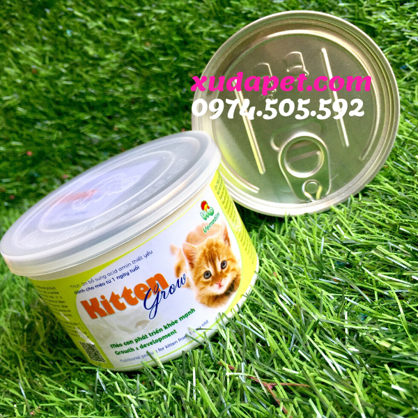  Sữa Mèo Kitten Grow