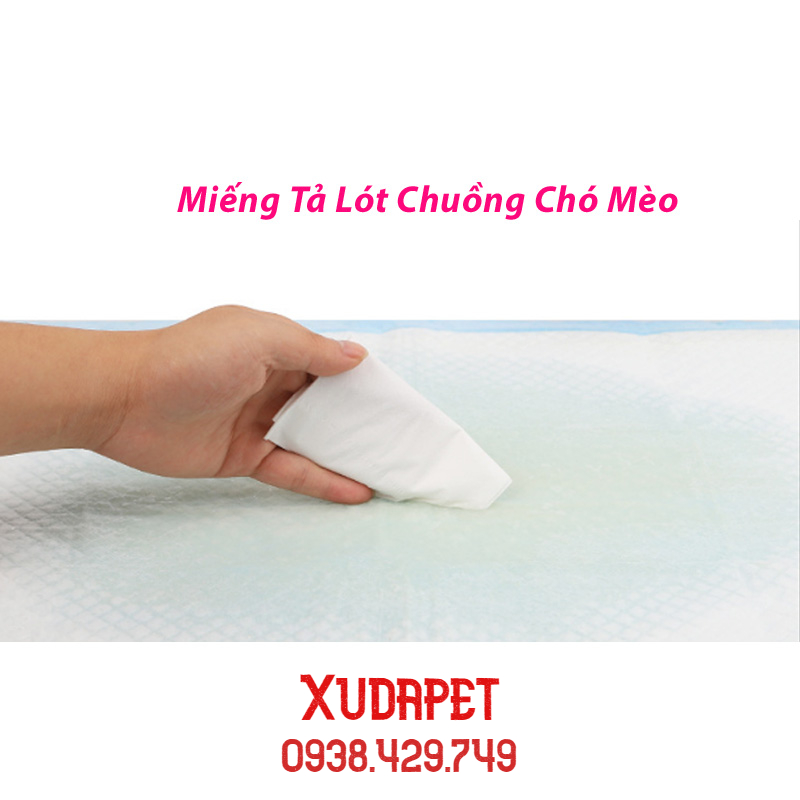  Miếng Tả Lót Chuồng