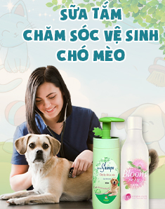 Sữa tắm, chăm sóc vệ sinh chó mèo