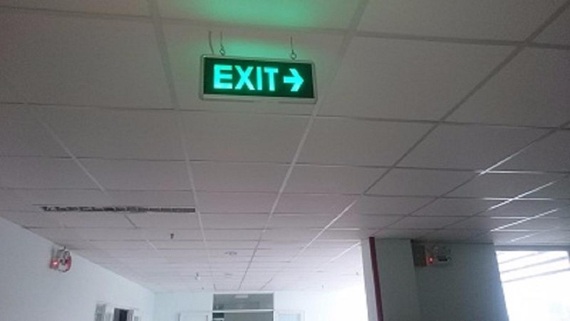 Exit hai mặt thường - mã SP0000599