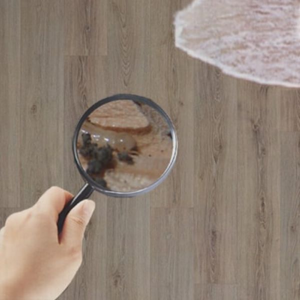 Sàn gỗ chống mối mọt - Xu hướng sàn gỗ hiện đại