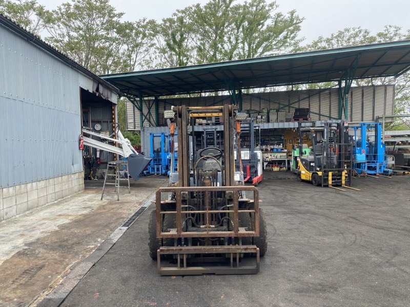 Xe nâng 2,5 tấn giá rẻ TCM FD25Z5 chui cont nâng cao 3m, số sàn gật gù lốp kép.