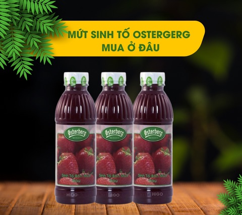 mua mứt sinh tố dâu osterberg giá sỉ hcm