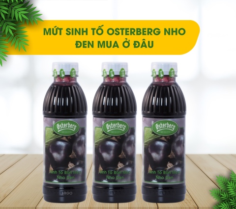 mua mứt sinh tố nho đen osterberg ở đâu