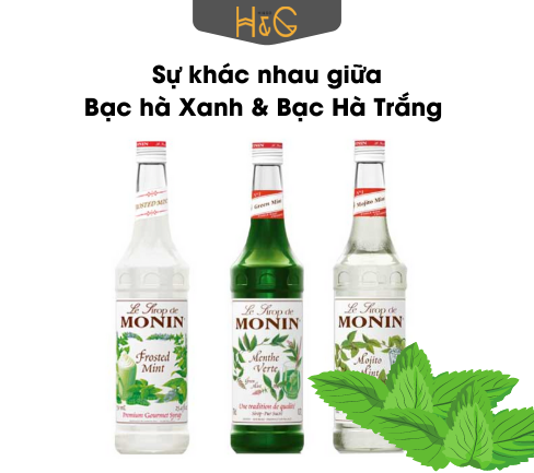 sự khác nhau giữa bạc hà trắng và bạc hà xanh