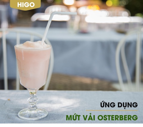 ứng dụng của mứt sinh tố vải Osterberg