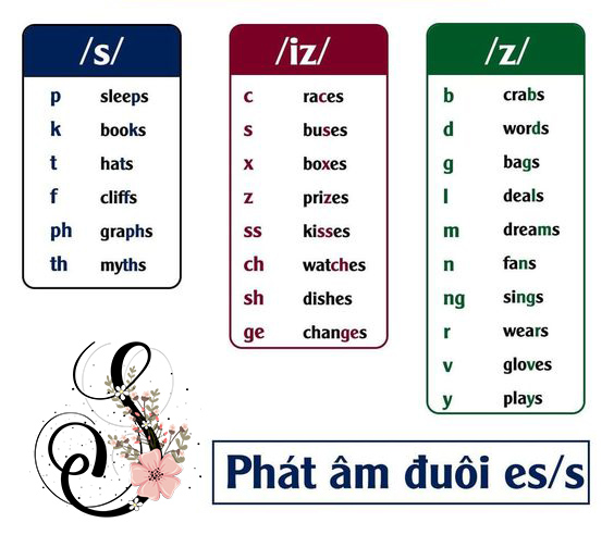 QUY TẮC THÊM S – ES – ED – ING VÀ CÁCH PHÁT ÂM