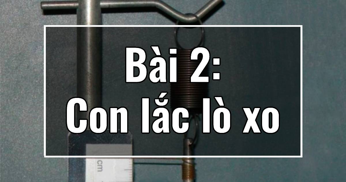 Bài 2: Con lắc lò xo