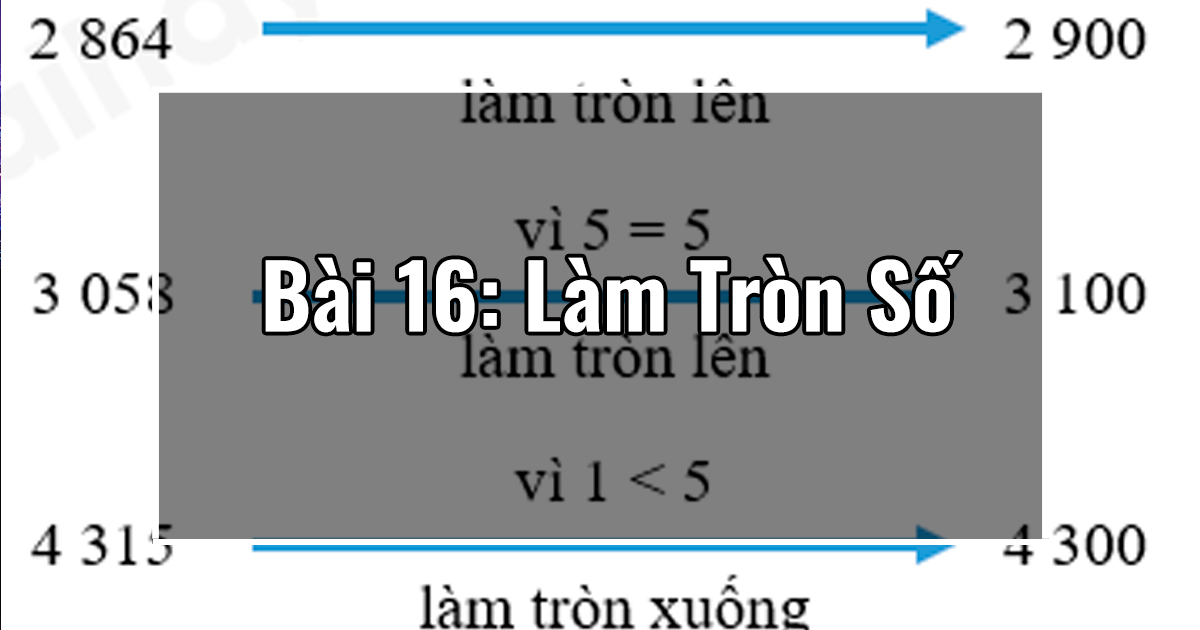 Bài 16: Làm Tròn Số