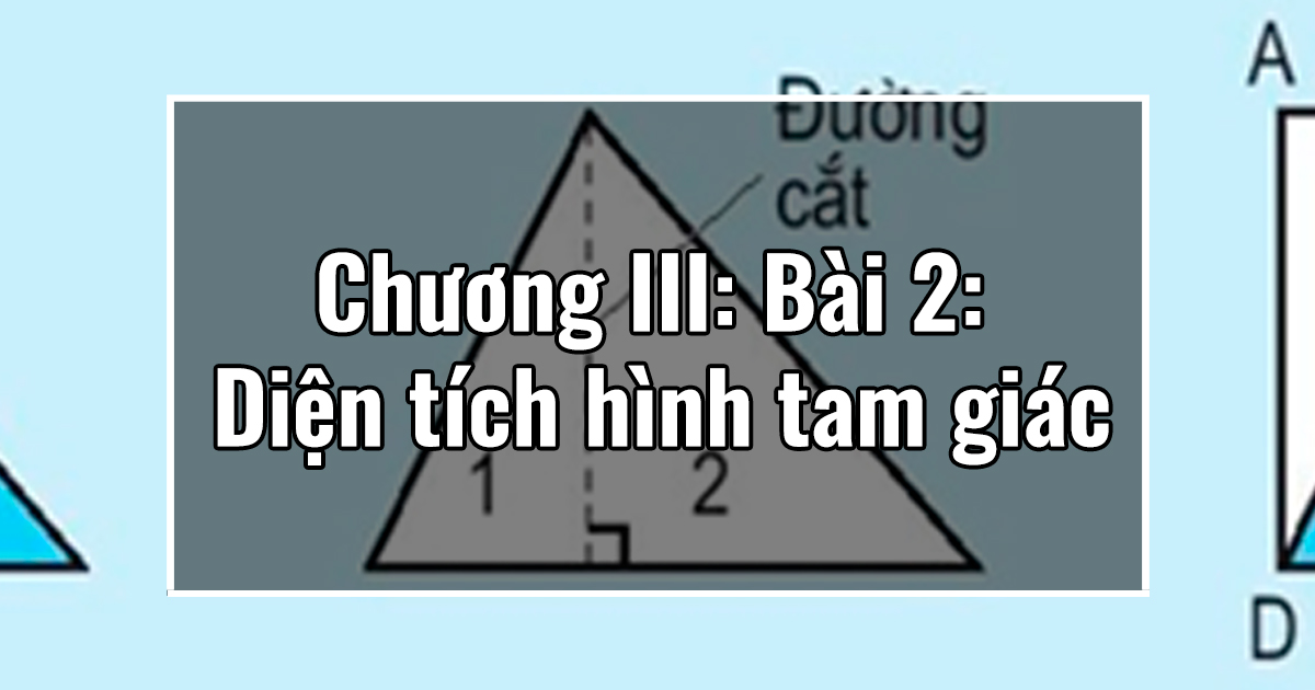 Chương III: Bài 2: Diện tích hình tam giác