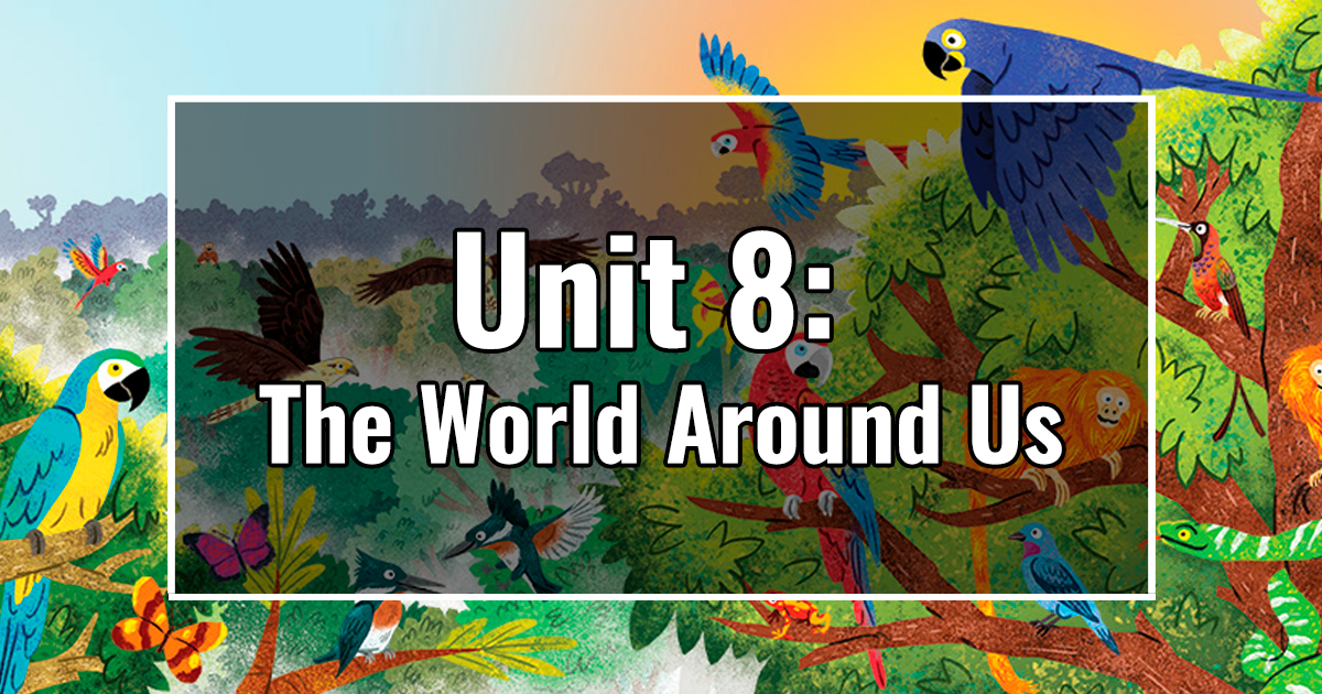 UNIT 8: The World Around Us