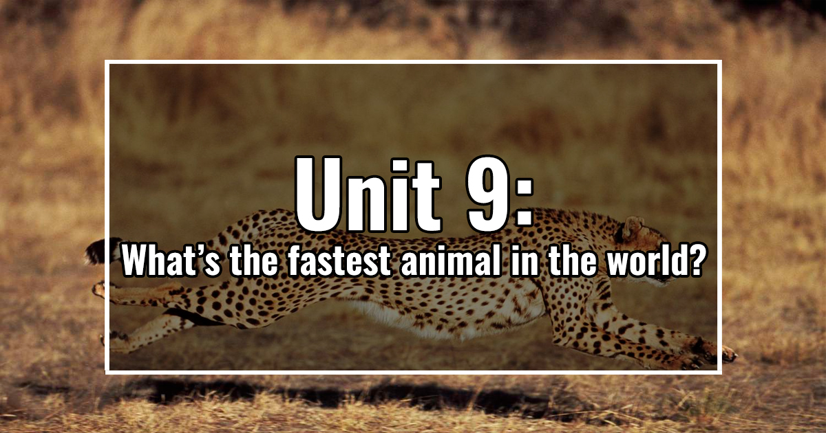 UNIT 9: What’s the fastest animal in the world?