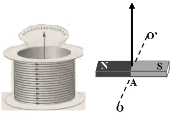 Hình vẽ câu 12