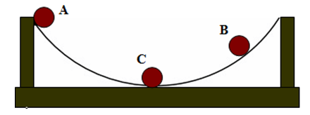 Hình vẽ câu 3