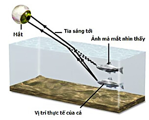 Hình vẽ câu 2