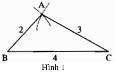 hình 1