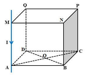 Hình vẽ bài 1