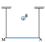 Hình vẽ câu 6