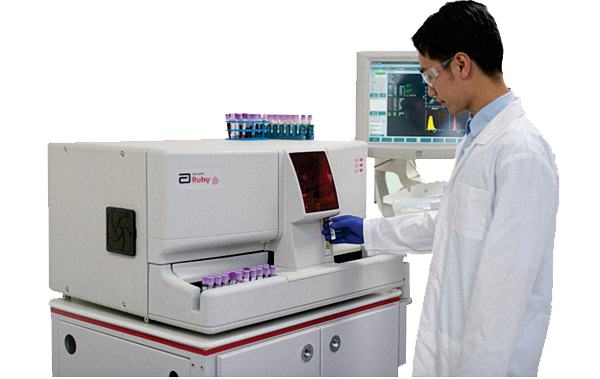 SƠ LƯỢC VỀ VẠN XUÂN