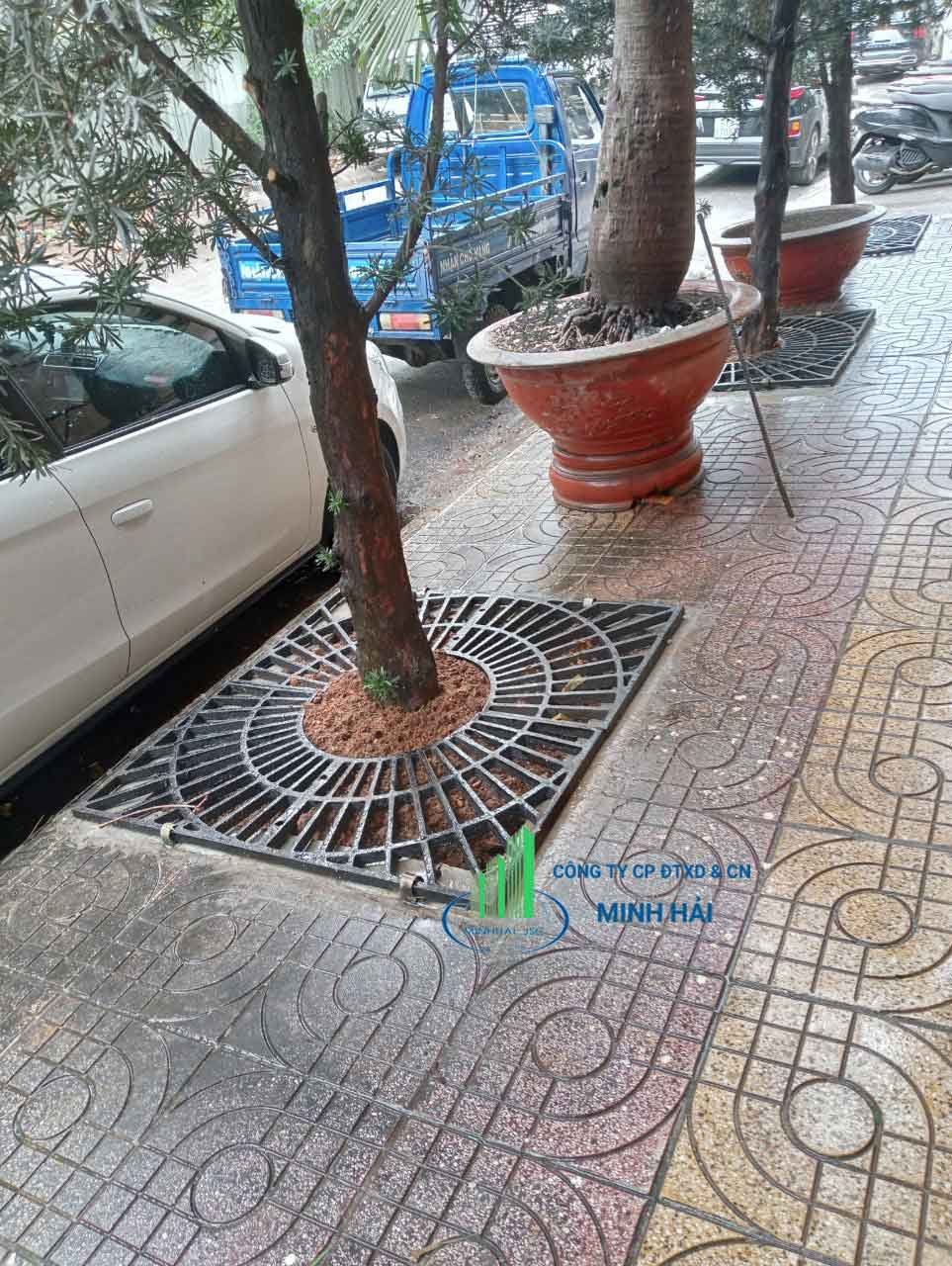 Ghi gốc cây gang 04 mảnh Minh Hải