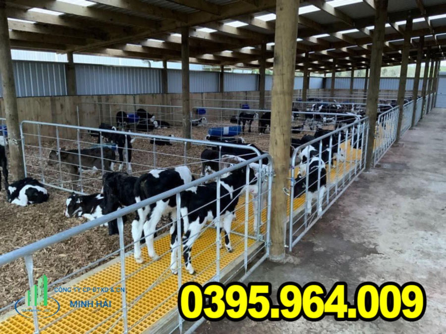 tam-san-frp-composite-chan-nuoi-trang-trai-bo-thanh-hoa