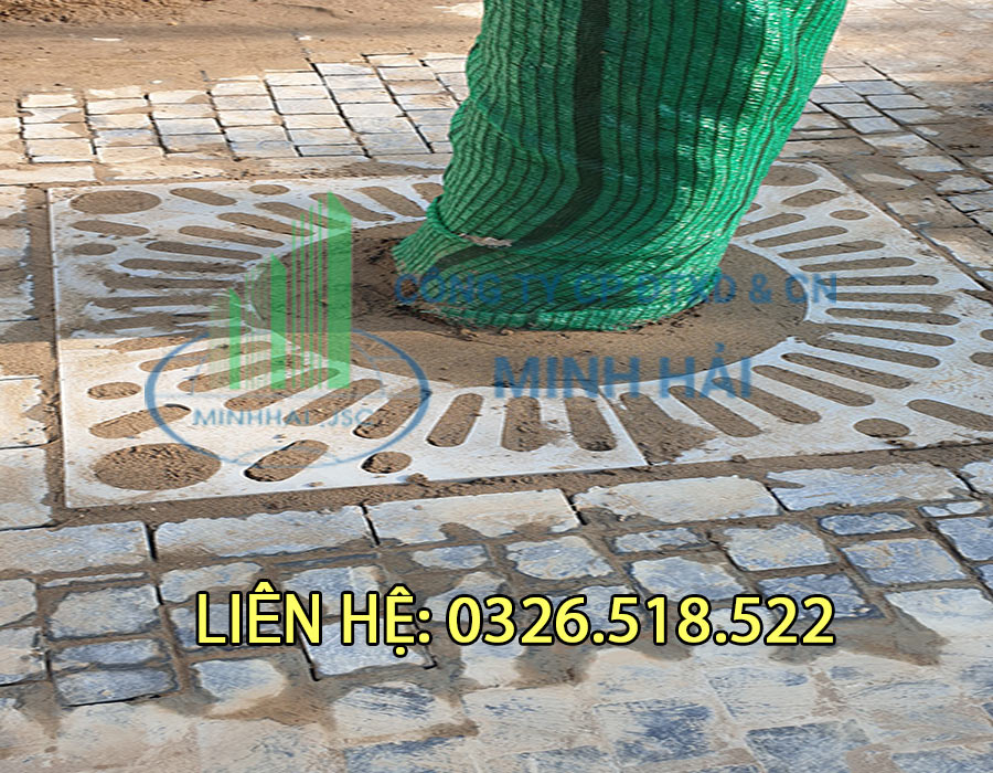 Ghi bảo vệ gốc cây bằng composite bền đẹp chống ăn mòn