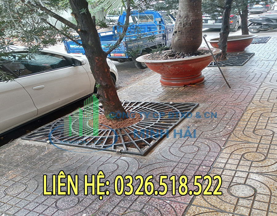 Ứng dụng thực tế ghi bảo vệ gốc cây trong cảnh quan đô thị