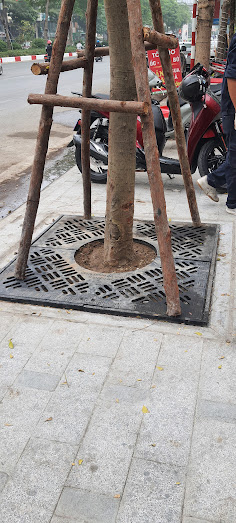 Ghi Bảo Vệ Gốc Cây 04 Mảnh | Gang + Composite | Giảm giá 20%