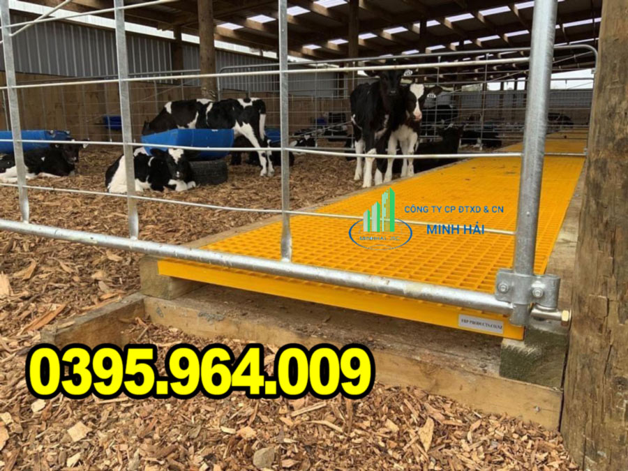 Bán tấm composite FRP | Ô vuông 38x38mm | Nhận đặt hàng theo yêu cầu 2026