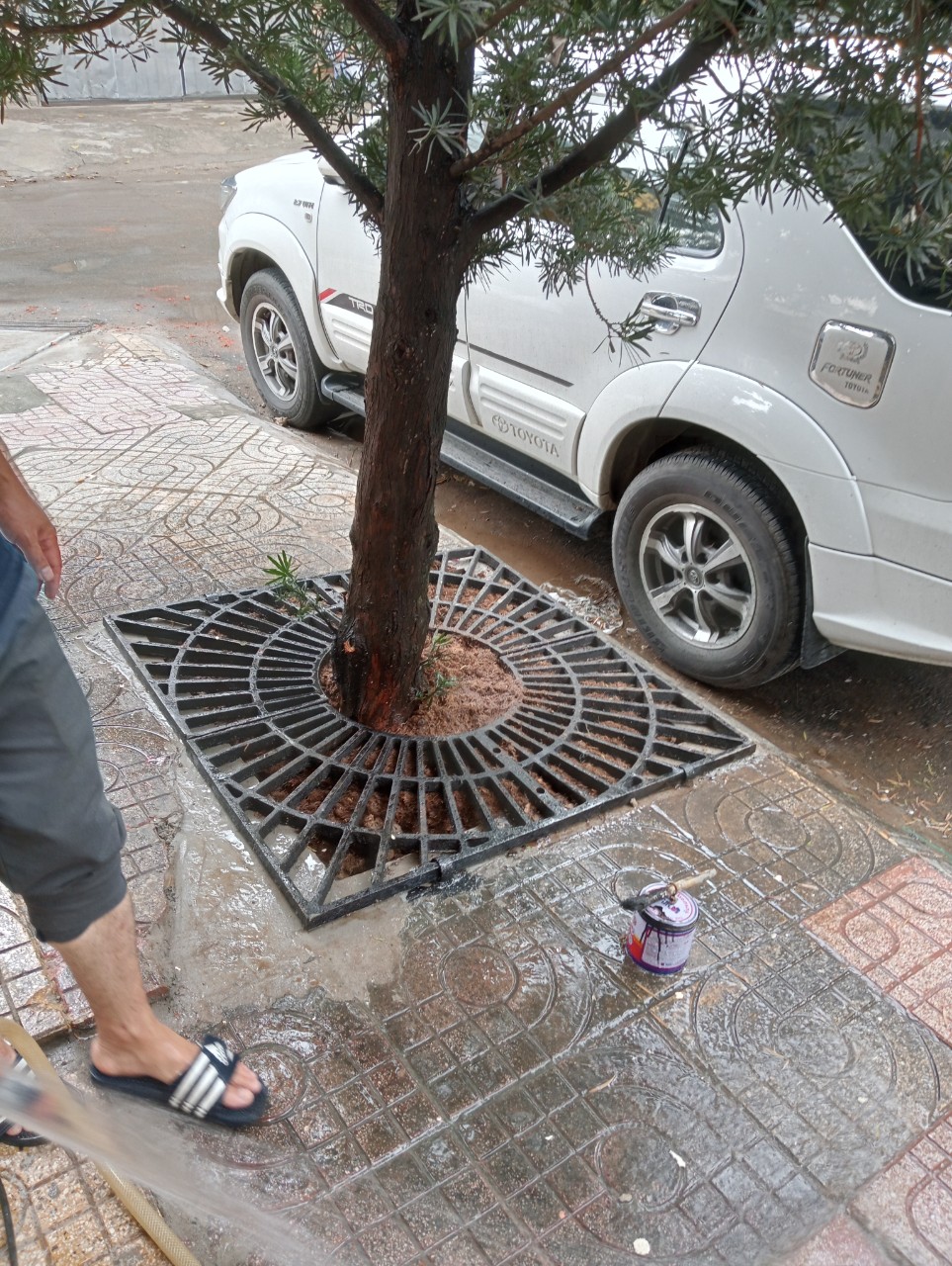 Ghi Bảo Vệ Gốc Cây 04 Mảnh | Gang + Composite | Giảm giá 20%