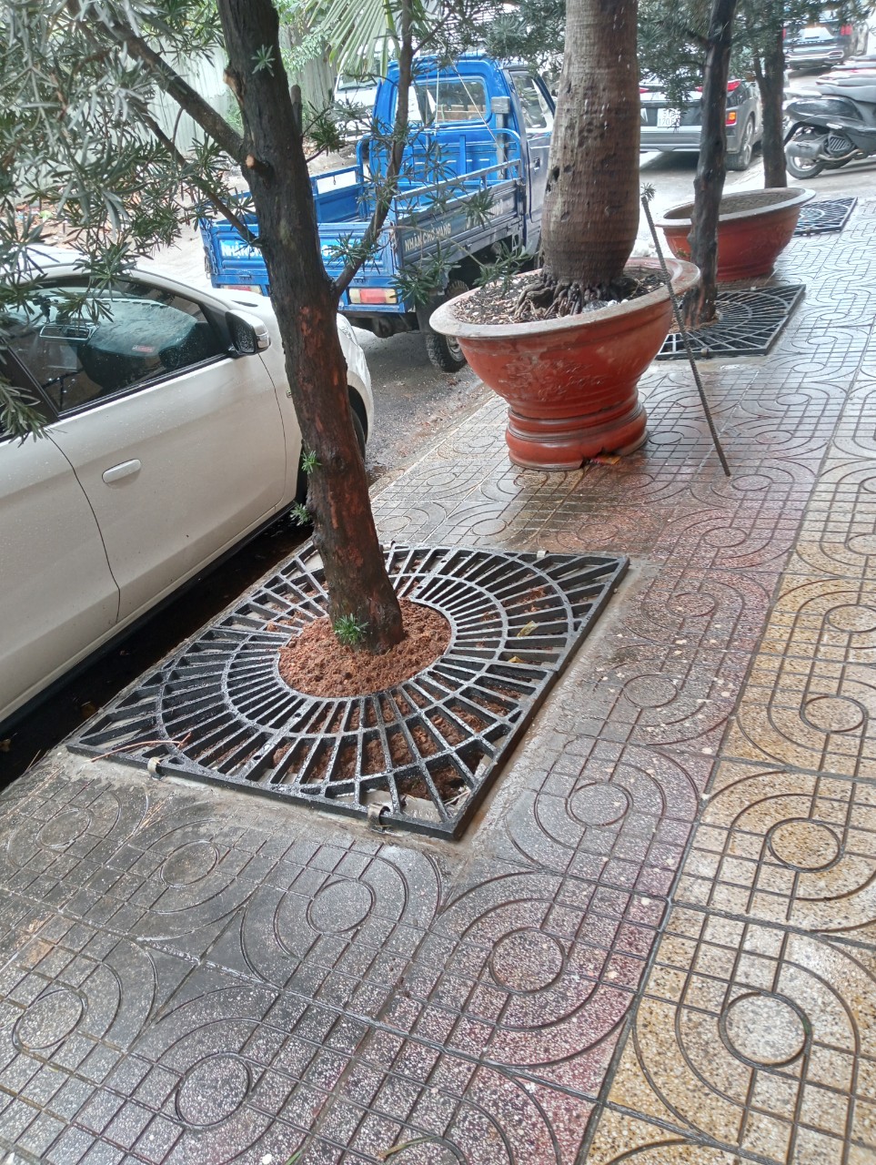 Ghi Bảo Vệ Gốc Cây 04 Mảnh | Gang + Composite | Giảm giá 20%