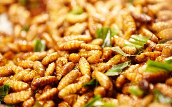 4. Phương pháp ủ thức ăn cho cá chép