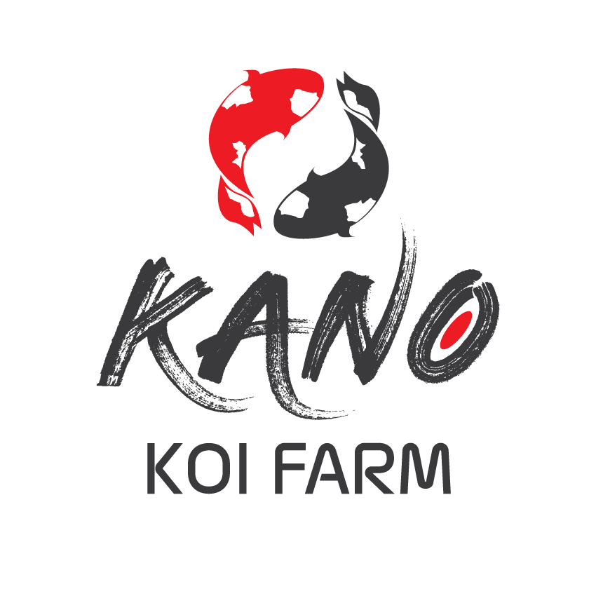 logo KanoKoi