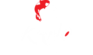 logo KanoKoi