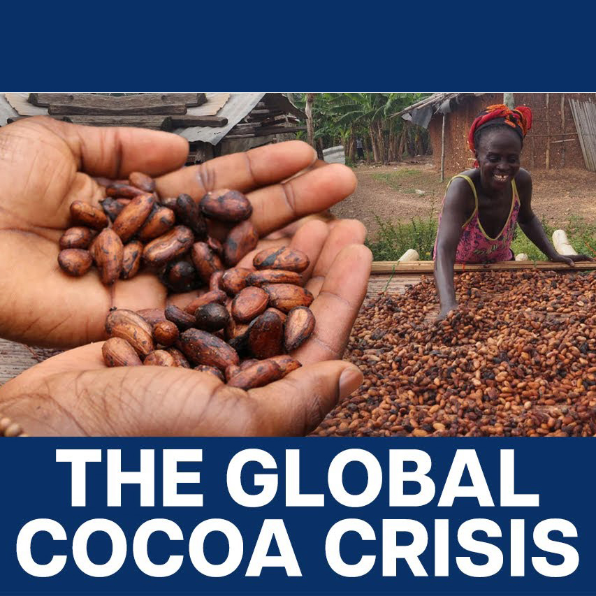 KHỦNG HOẢNG CACAO TOÀN CẦU