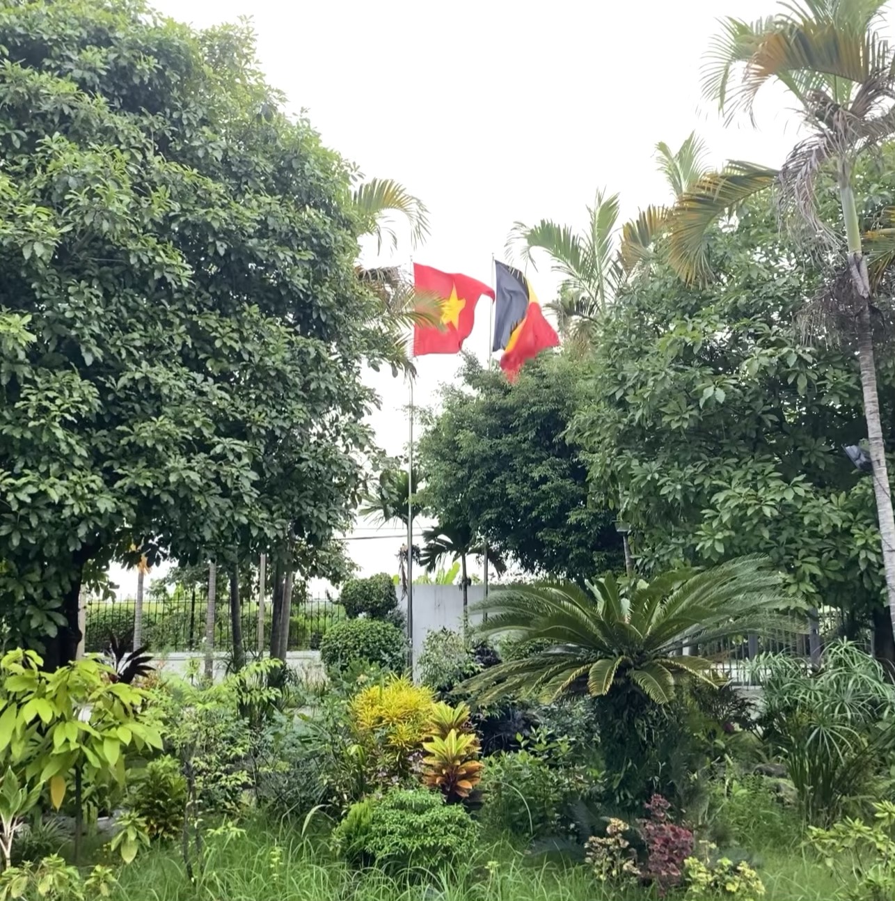 Đào tạo tay nghề liên tục