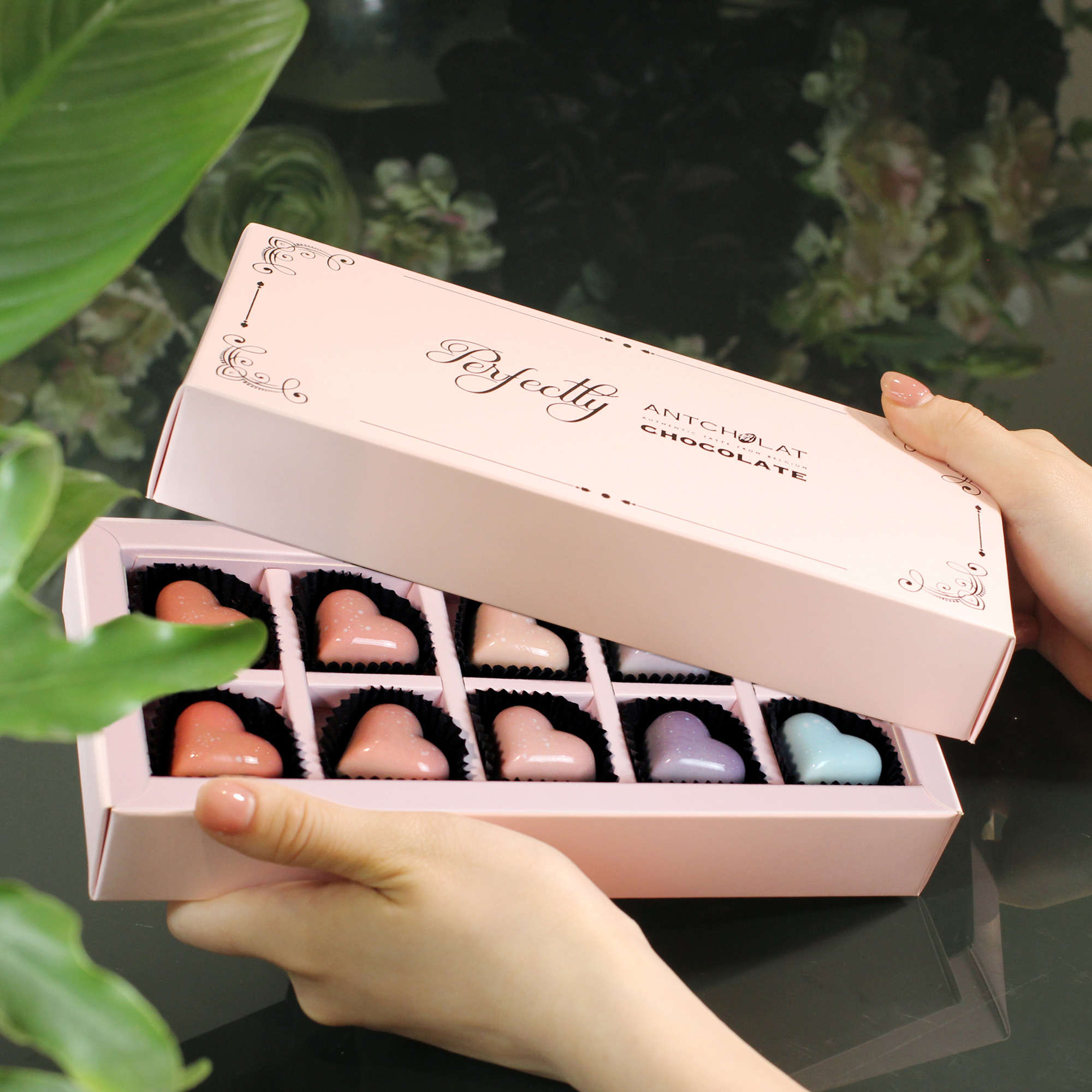 Perfectly Chocolate/ S02.V25