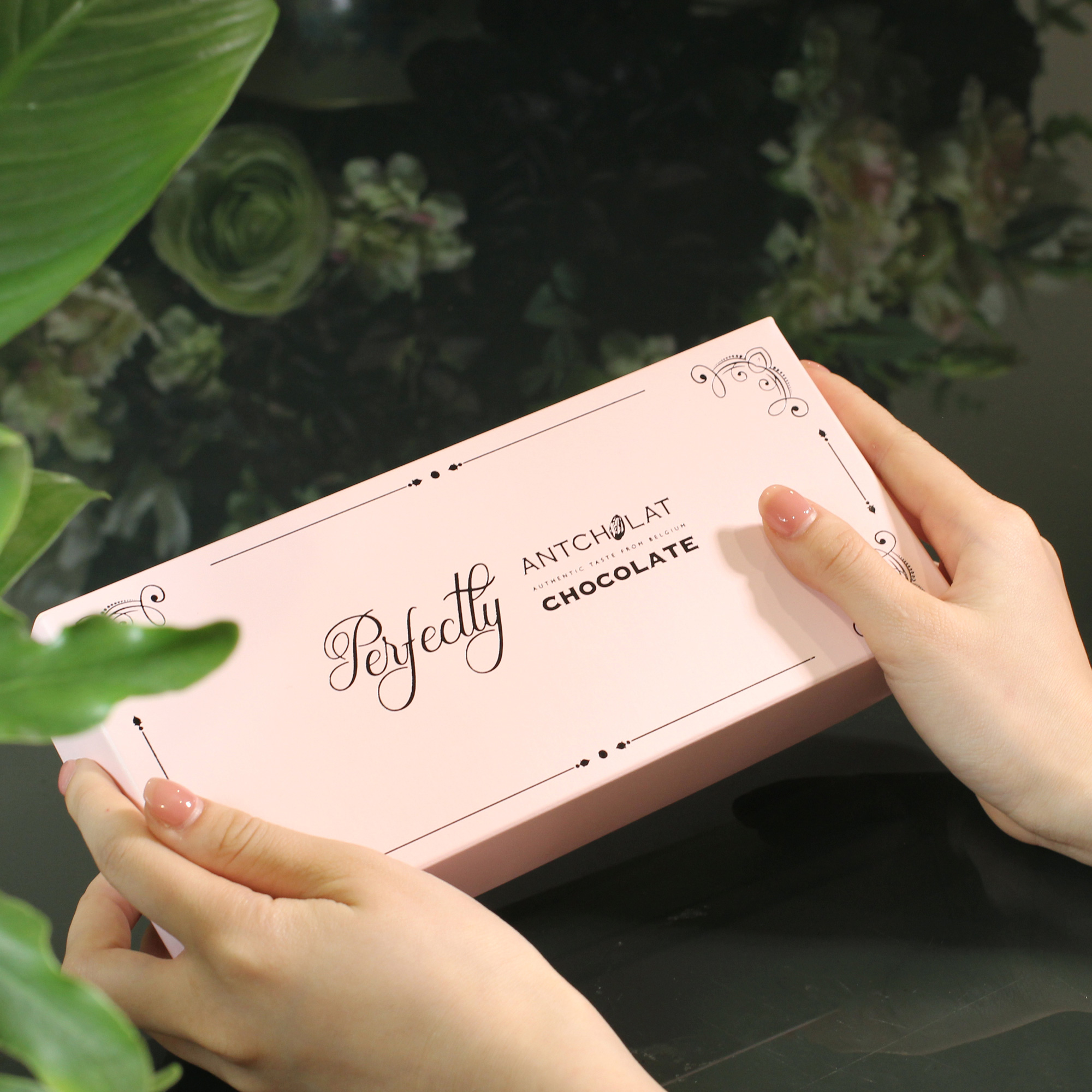 Perfectly Chocolate/ S02.V25