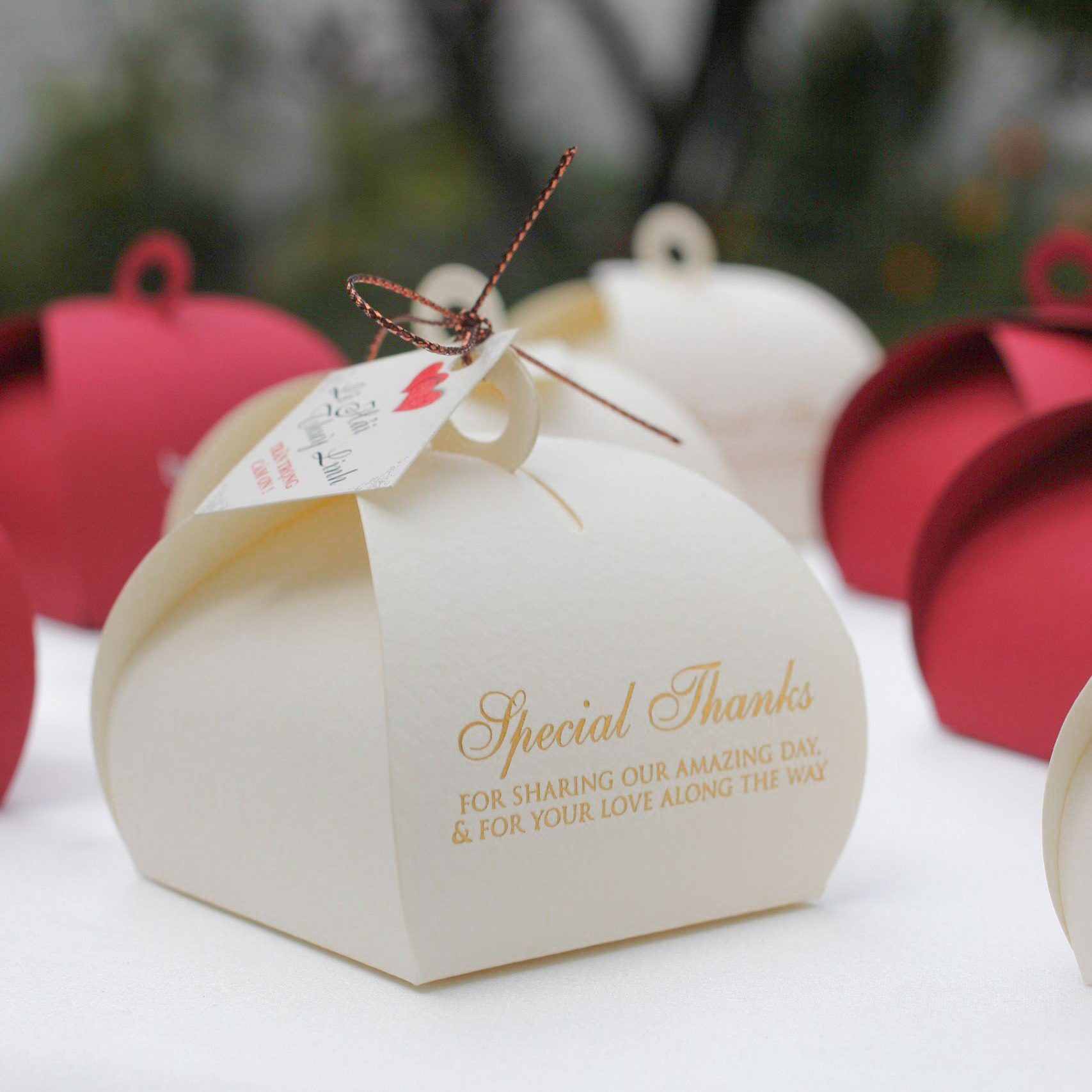 Special Thanks/ H01 - Box