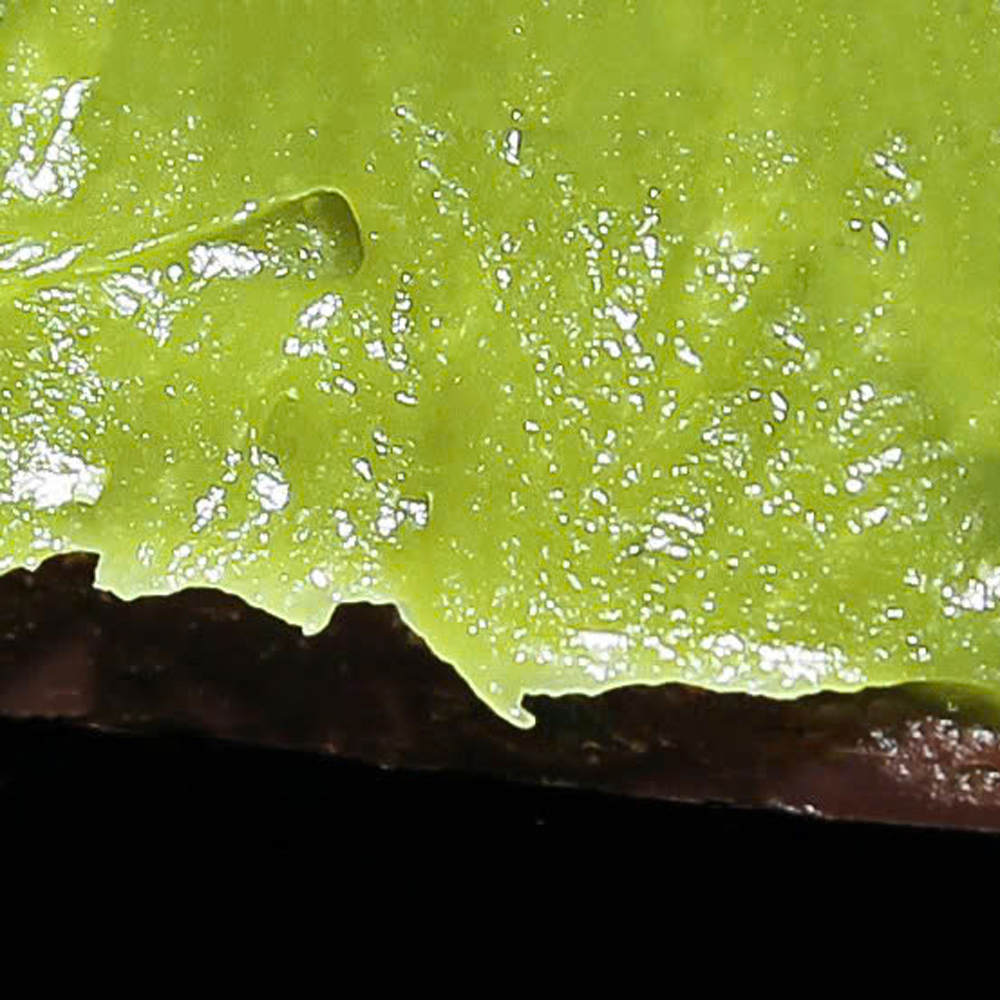 Spring Matcha Chocolate