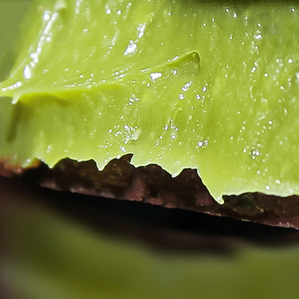 Spring Matcha Chocolate