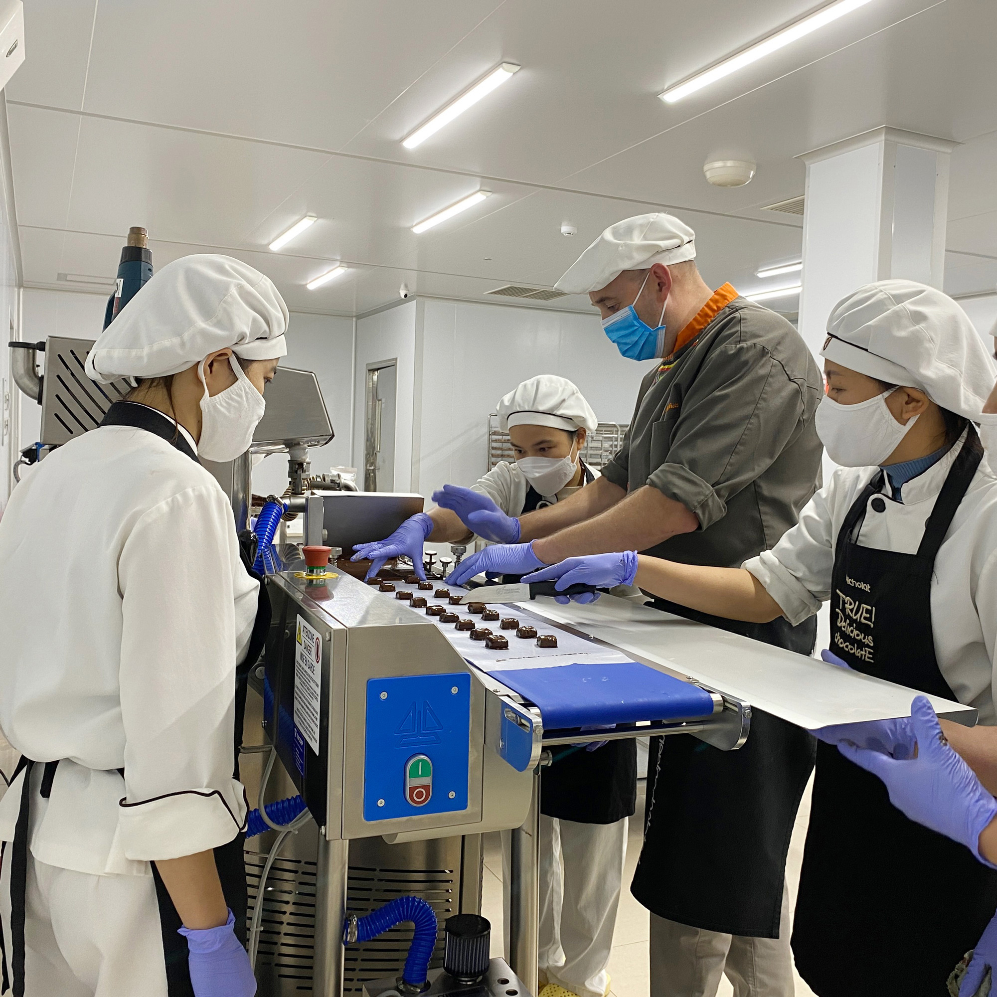 Elegance Chocolate / S245