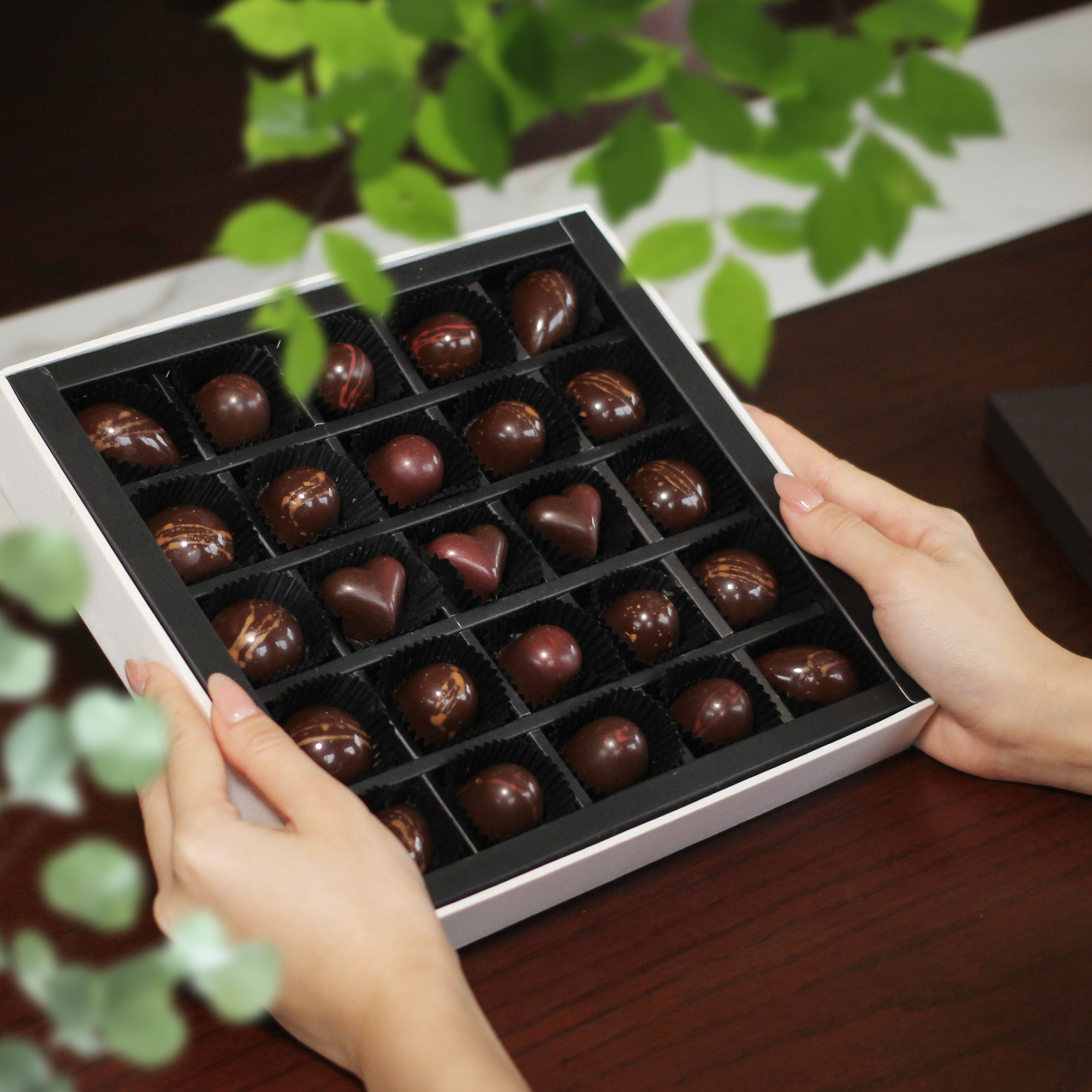 Elegance Chocolate / S245