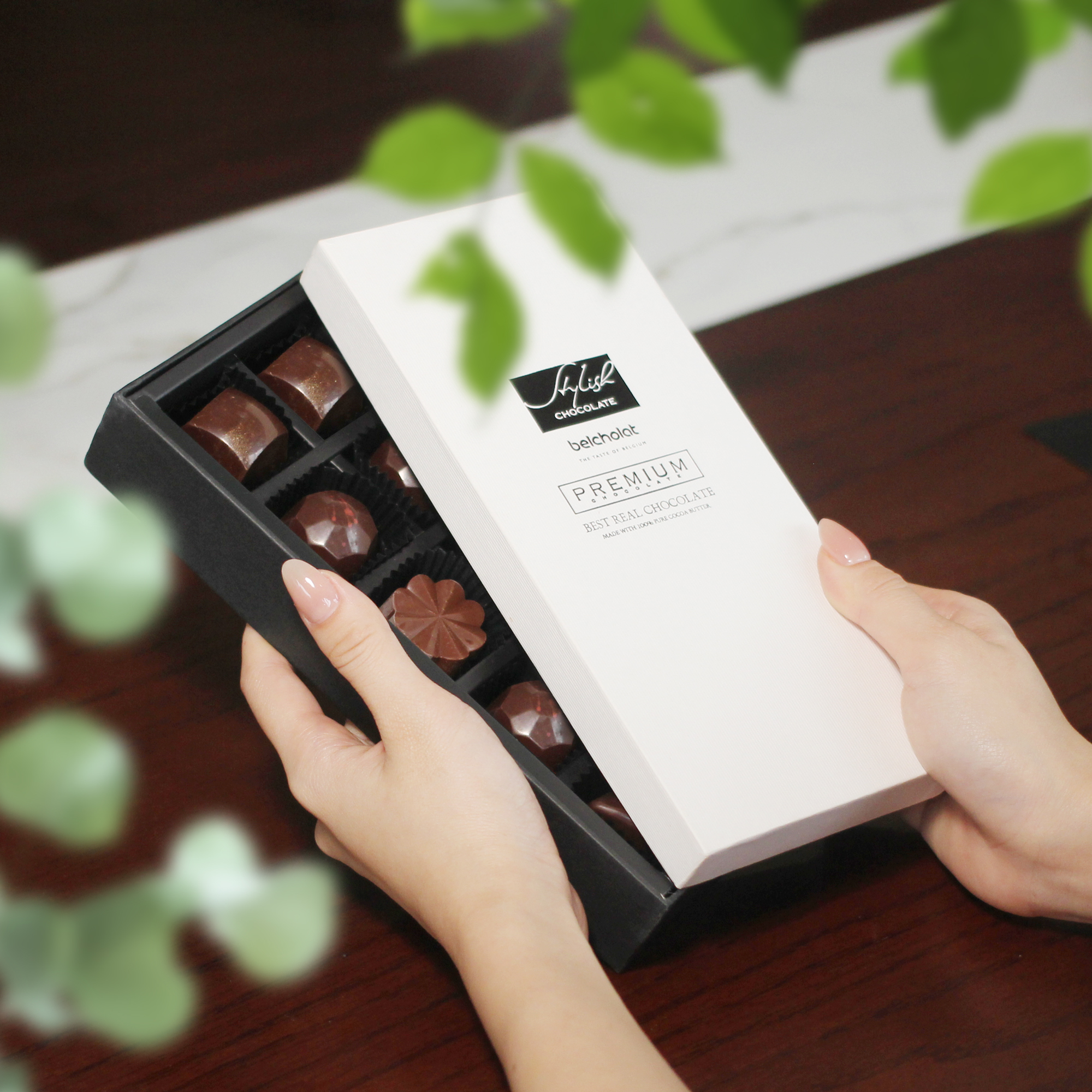 Stylish Chocolate / S95