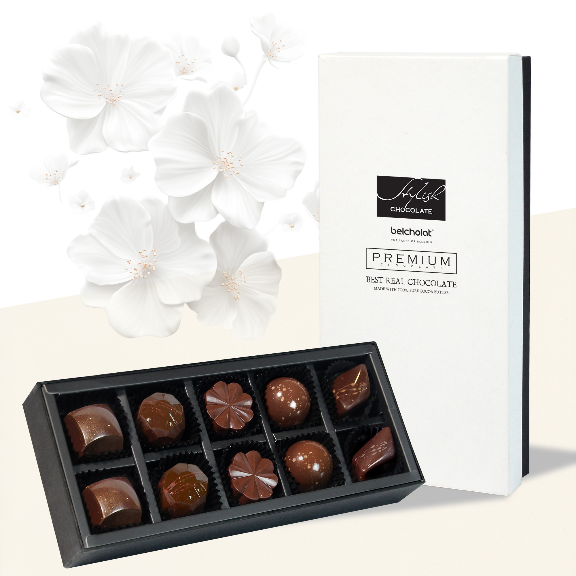 Stylish Chocolate / S95