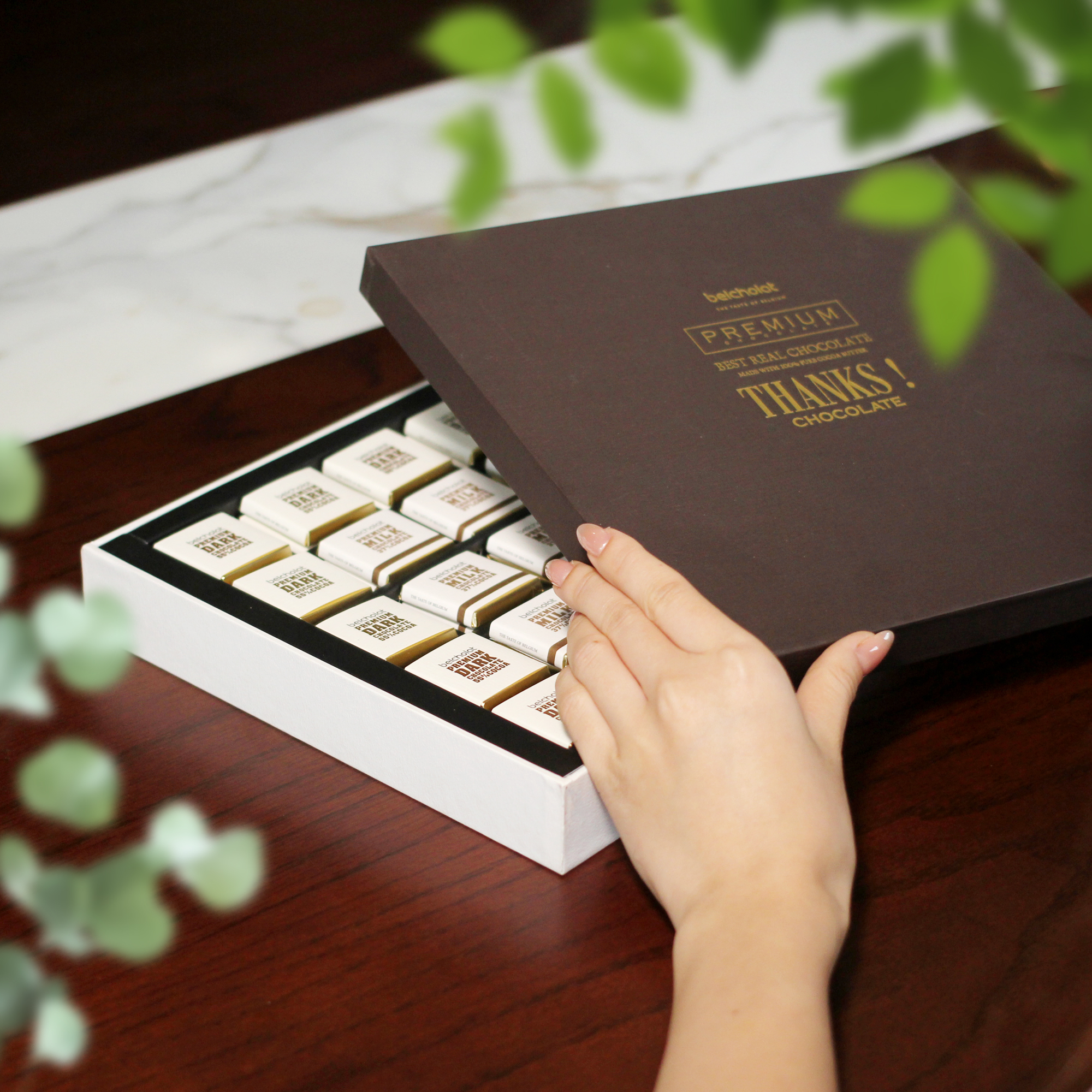 Thanks Chocolate / S245