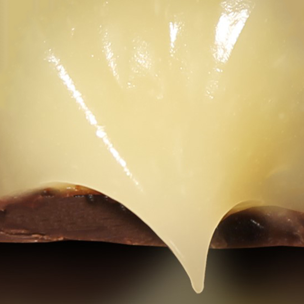 Spirit Chocolate/ Single malt