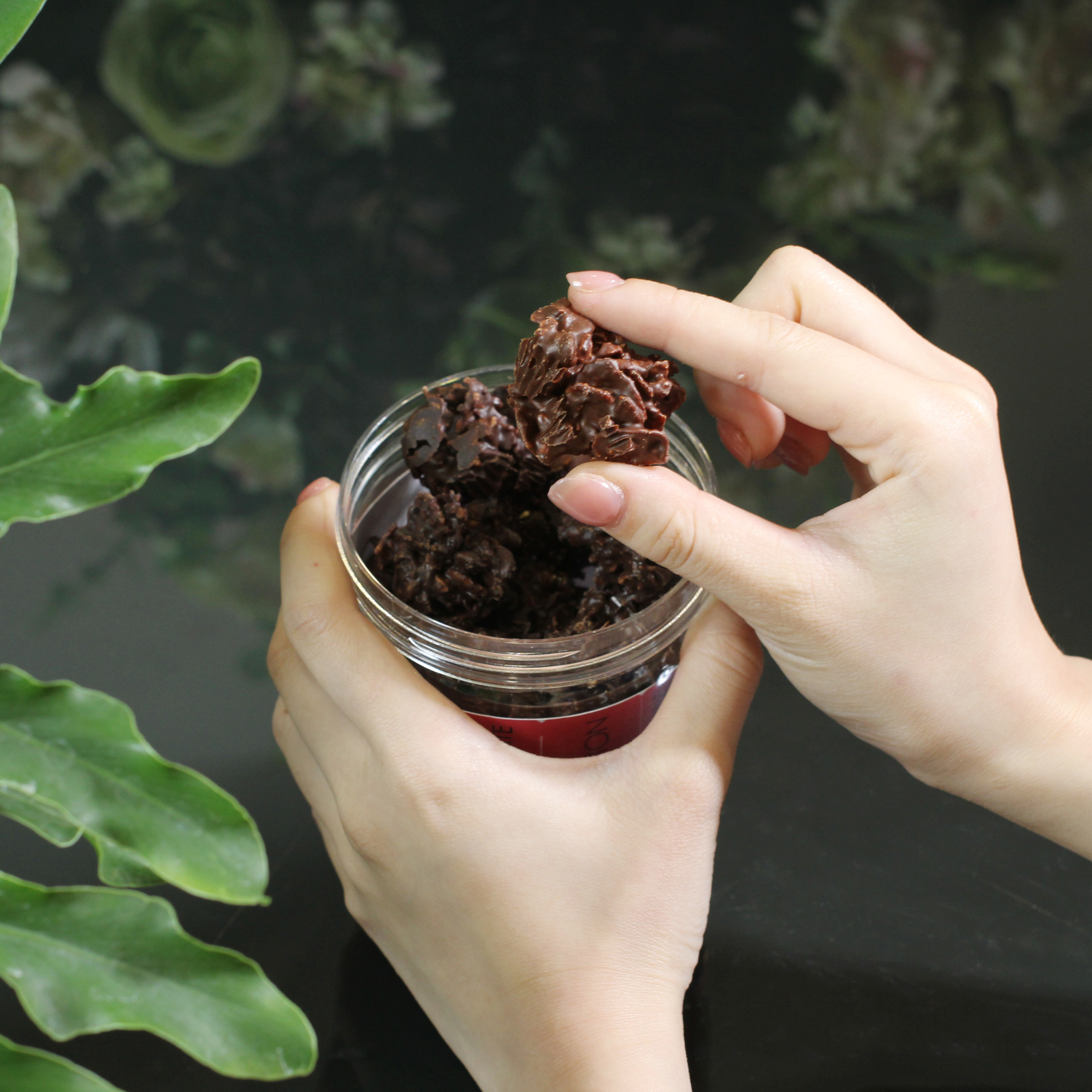 Silky Crunch Fusion Chocolate